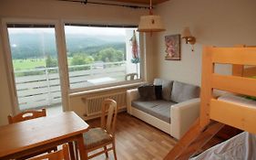 Mountain View Apartment